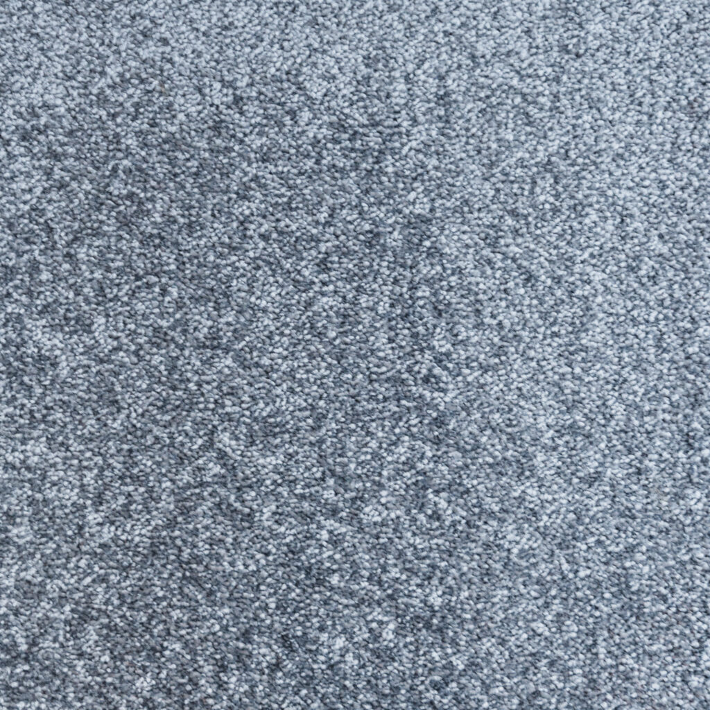 Flair: Blueberry -  Carpet