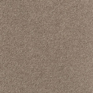 Colorado: Bayfield -  Carpet