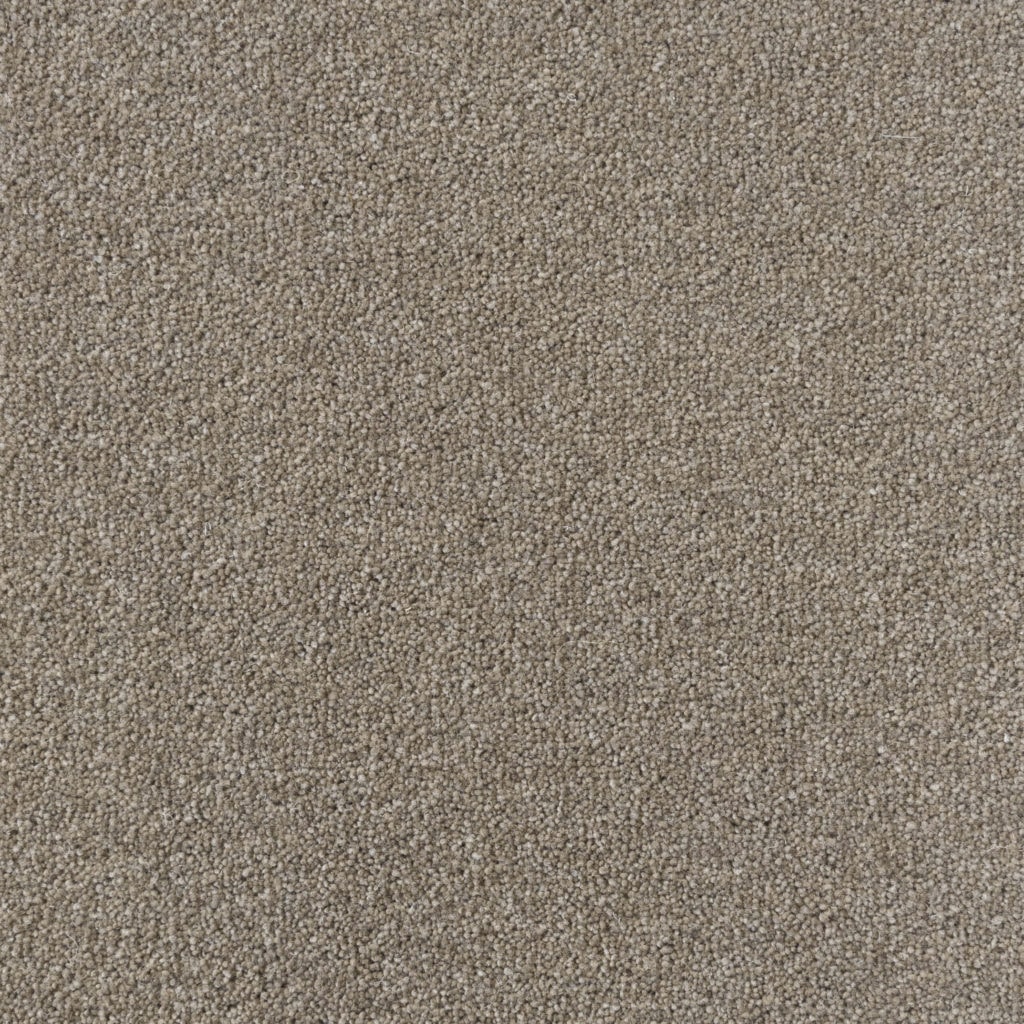 Colorado: Englewood -  Carpet