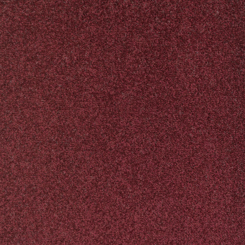 Performance: Garnet -  Carpet