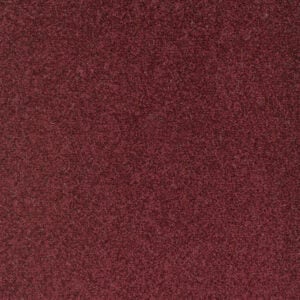 Performance: Garnet -  Carpet