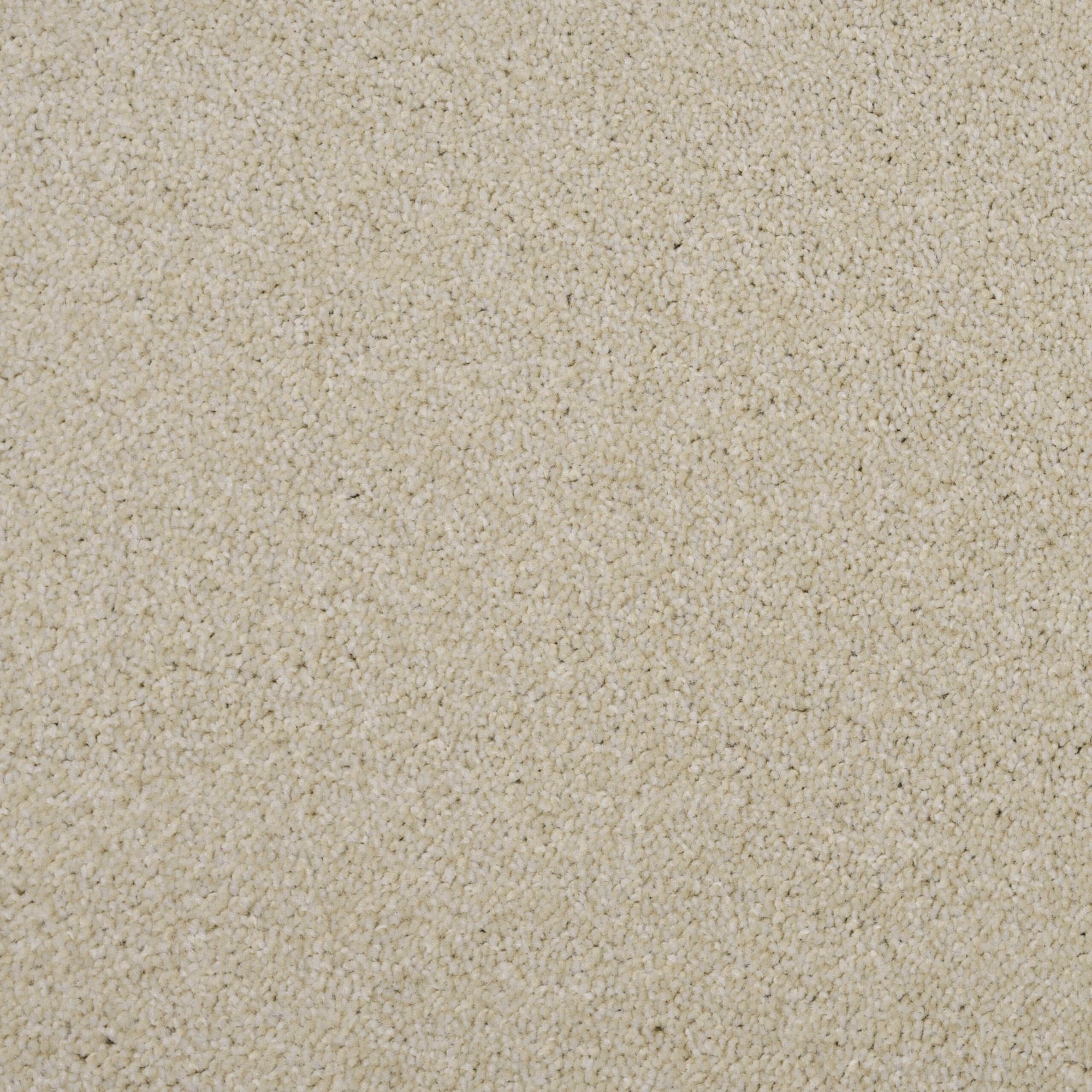 Performance Nougat, 100 Polypropylene Twist Pile Carpet Penthouse