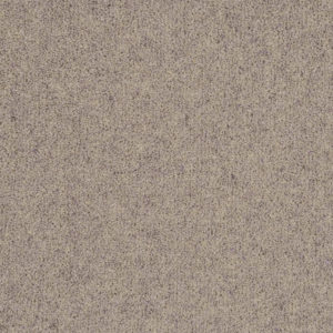 Vermont: Scottsdale -  Carpet