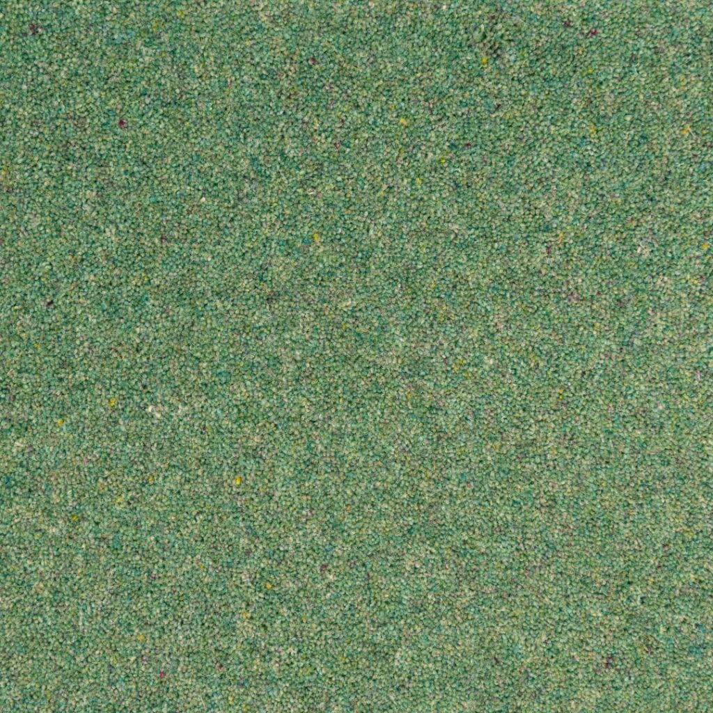 Vermont: Miami -  Carpet