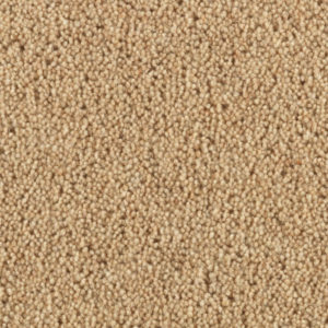 Carlton: Almond -  Carpet