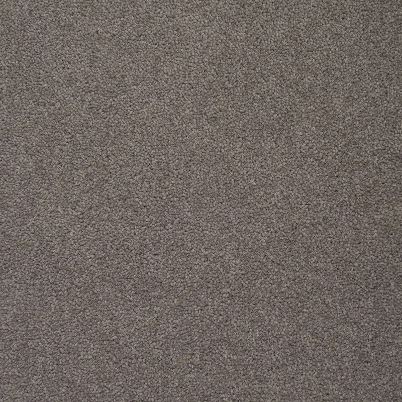 Colorado: Boulder -  Carpet