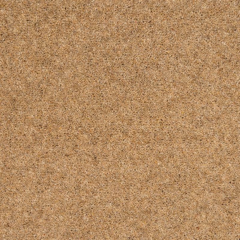Super Maxim: Bulrush -  Carpet