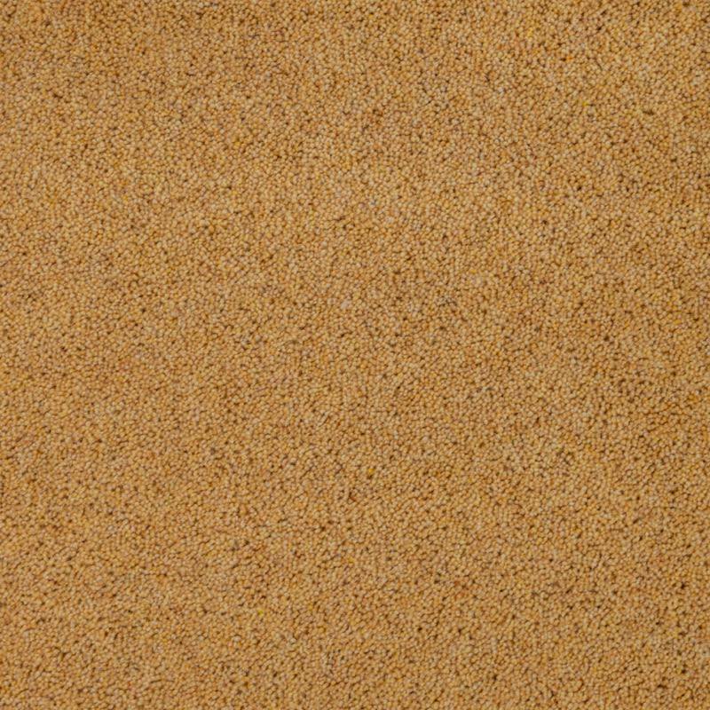 Pentwist Colours: Buttercup -  Carpet