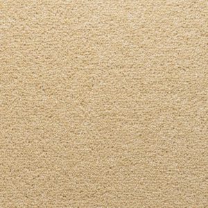 Stateside: Cloisters -  Carpet