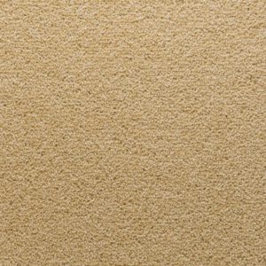 Stateside: Jersey -  Carpet