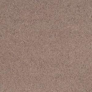 Pentwist Naturals: Moleskin -  Carpet