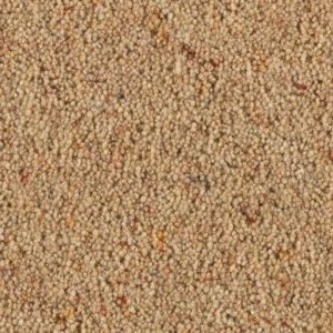 Carlton: Oatmeal -  Carpet