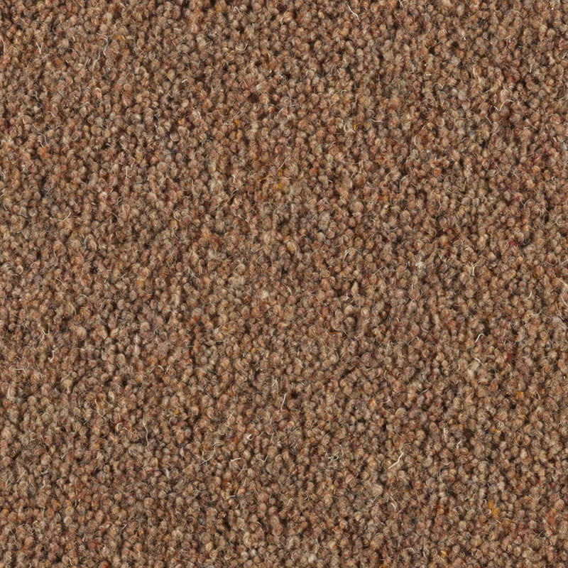 Carlton: Peppercorn -  Carpet