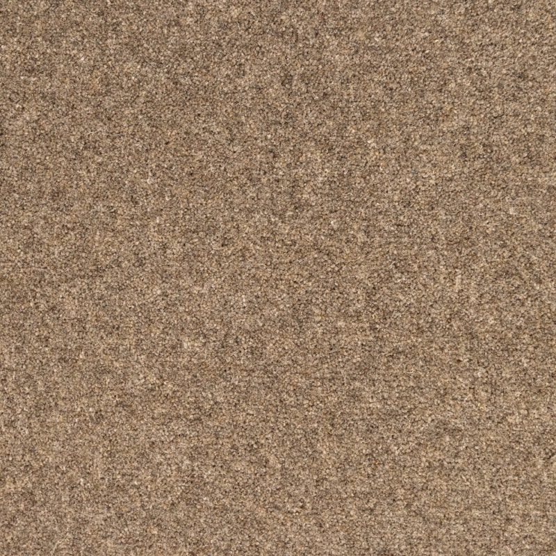Springtime: Portland -  Carpet