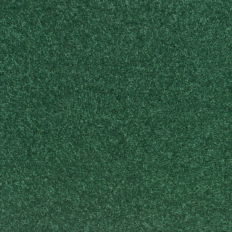 Pentwist Colours: Rainforest -  Carpet