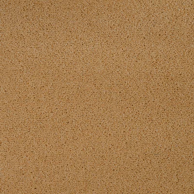 Pentwist Colours: Sandcastle -  Carpet