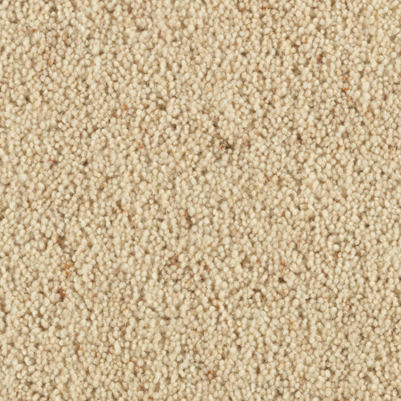Carlton: Shortbread -  Carpet