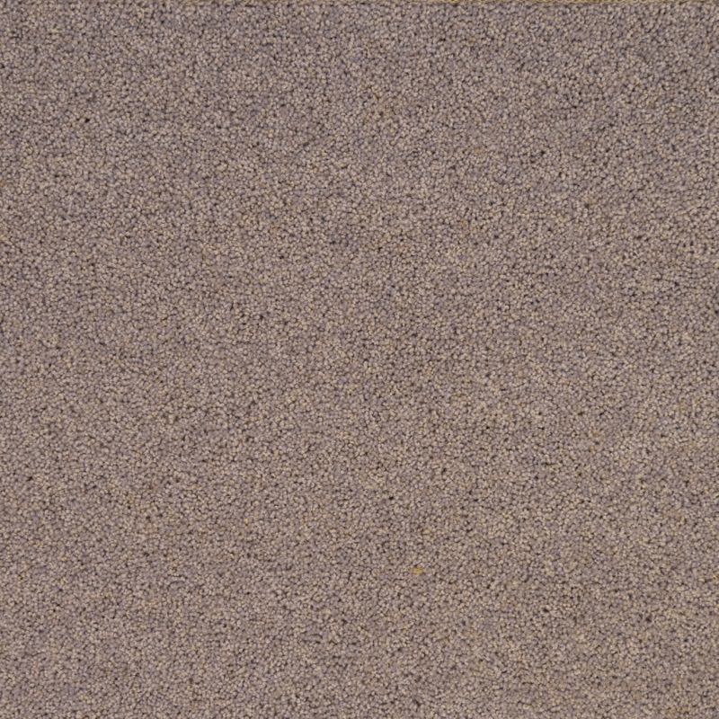 Pentwist Naturals: Silver Birch -  Carpet