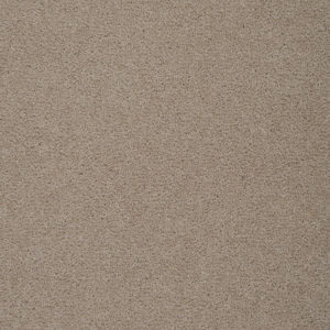 Colorado: Springfield -  Carpet