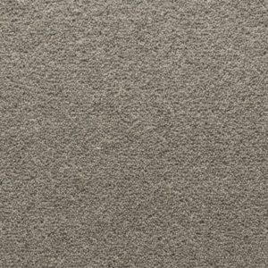Stateside: Washington -  Carpet