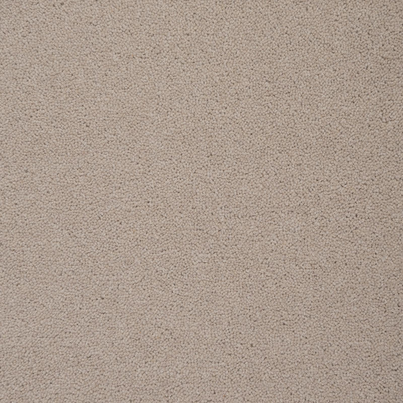 Colorado: Windsor -  Carpet