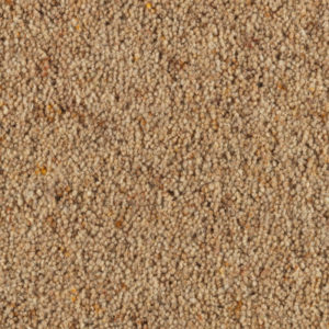 Carlton: Woodrush -  Carpet