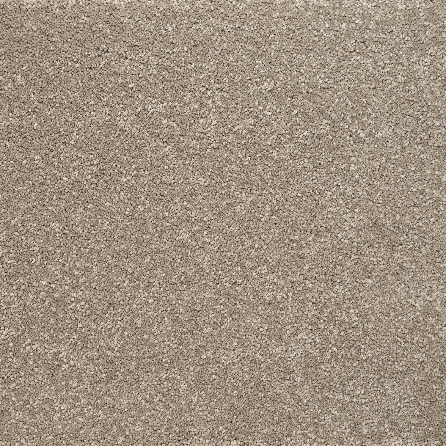 Marvella: Whistler -  Carpet