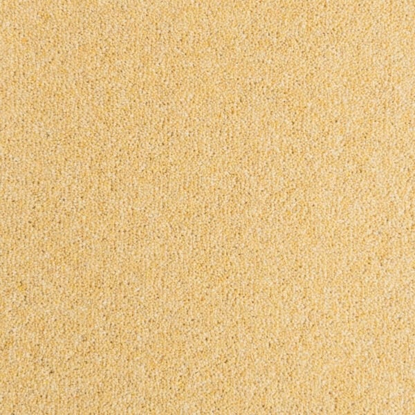 Wool Carpets Seasons Penthouse Carpets