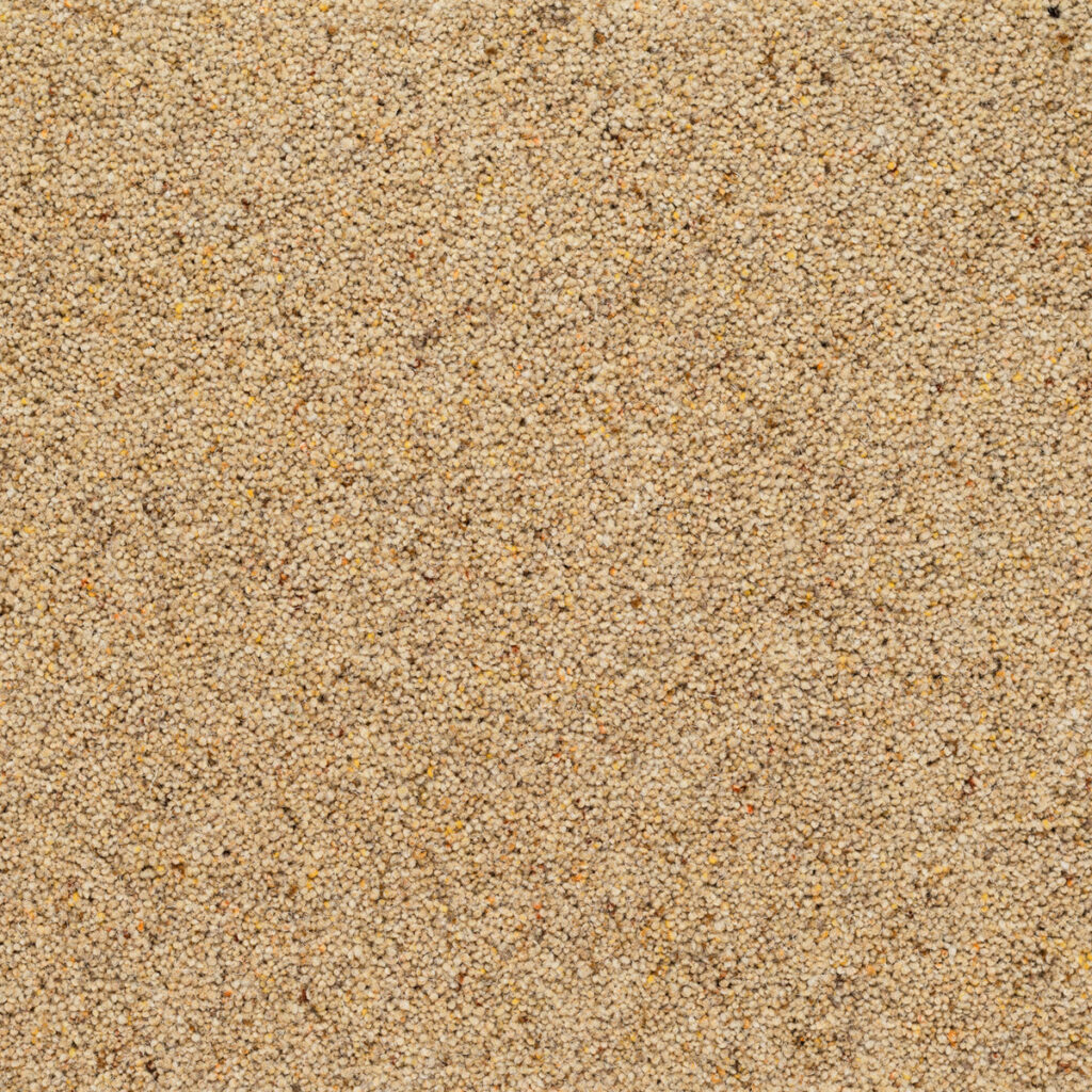 Crofter: Cornmeal -  Carpet