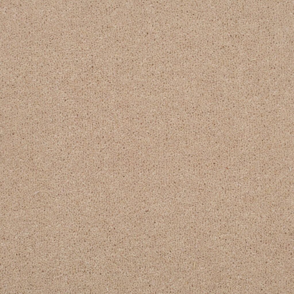 Stratford: Venus -  Carpet